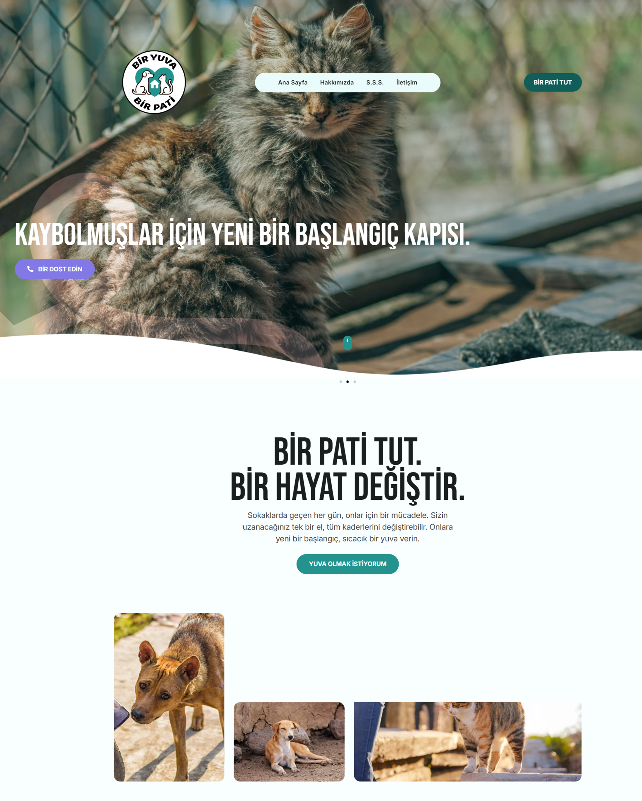 Bir Pati Bir Yuva